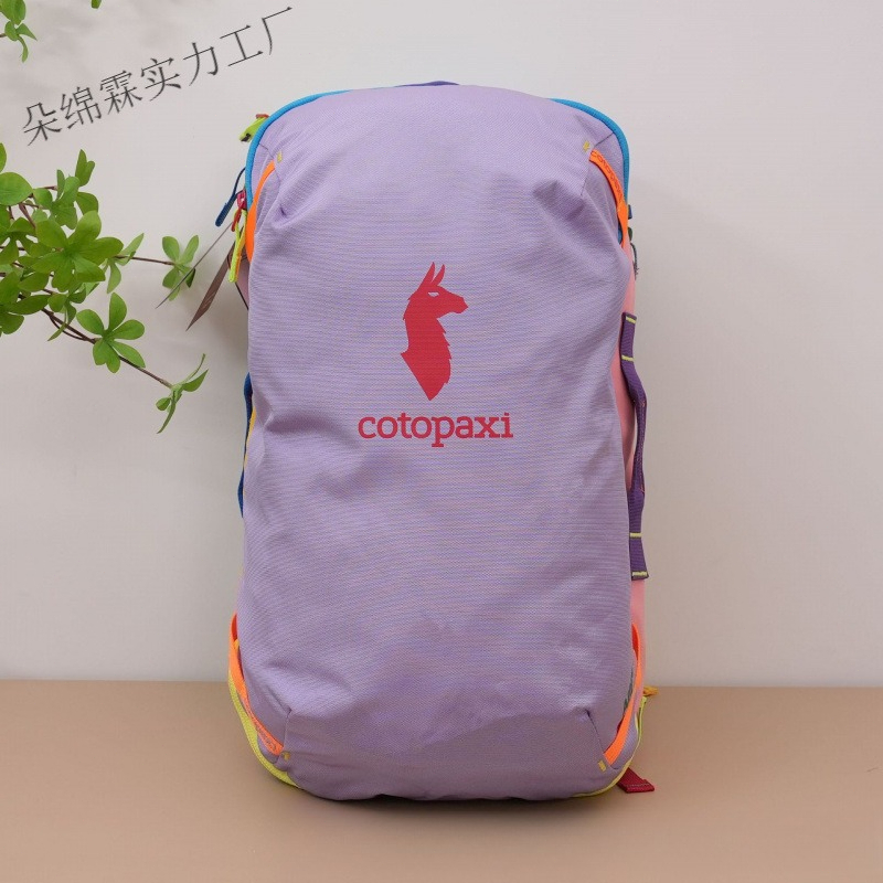 Women Bags Deals - Wasserdichter Farbblock-Rucksack für Männer und Frauen