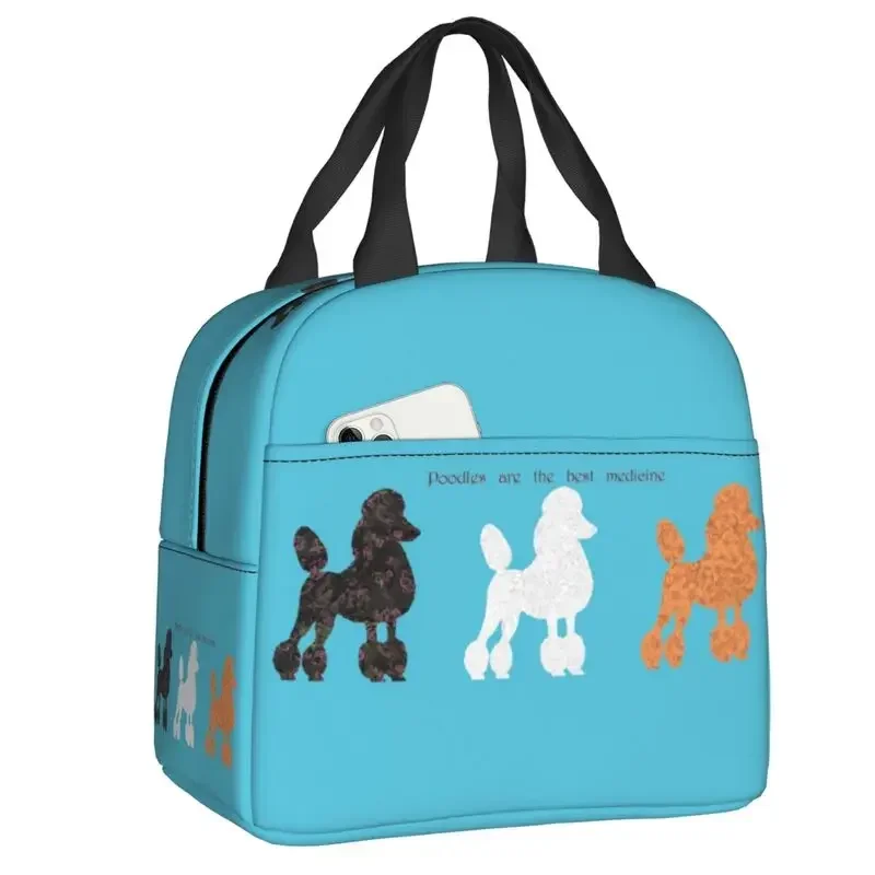 Women'S Best Bags For Work - Isolierte Lunchtasche mit Frankreich-Standard-Pudelmotiv für Damen,