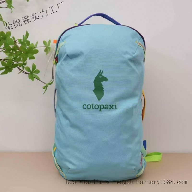 Wasserdichter Farbblock-Rucksa – Women Bags Deals Bewertung und Preis