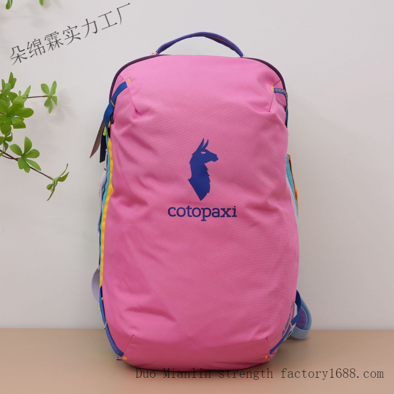 Wasserdichter Farbblock-Rucksa – Women Bags Deals Bewertung und Preis
