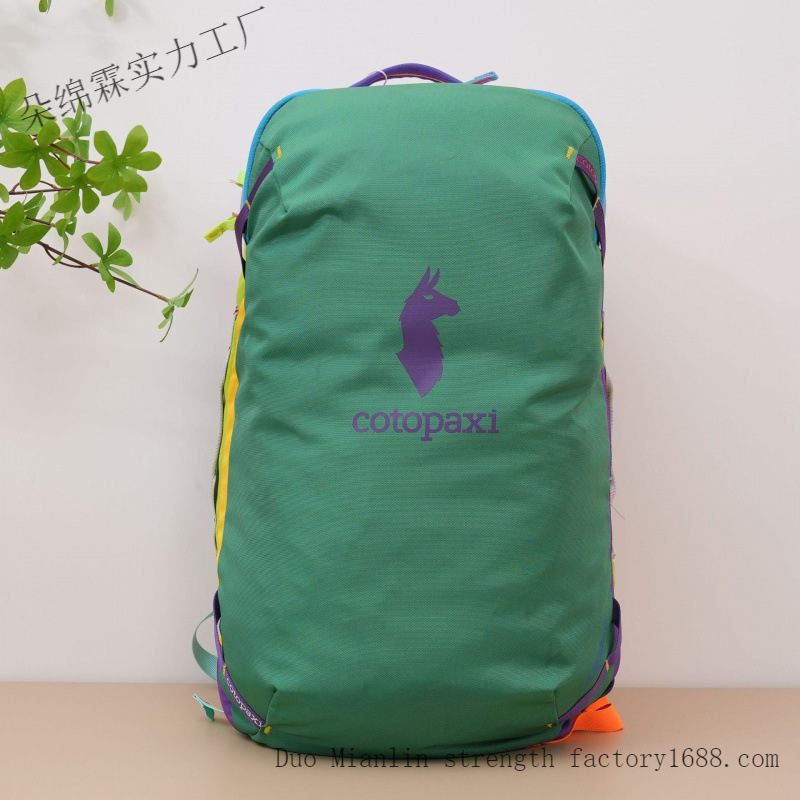 Wasserdichter Farbblock-Rucksa – Women Bags Deals Bewertung und Preis